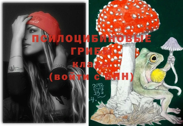 spice Приозерск
